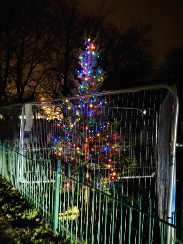 The Christmas Tree has lights and Baubles